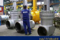 Бренды ТПА: MSA Бренды ТПА: MSA
