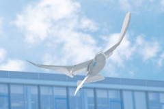  FESTO  SmartBird ( )